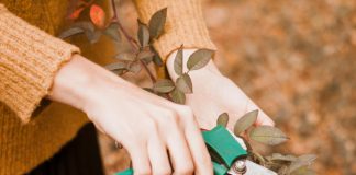 Pametno izkoristi svoj čas