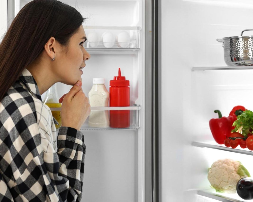 kaj-ne-sodi-v-vrata-hladilnika