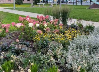 Skriti zajec na fotografiji: Ljudje se prepirajo, kje je optična iluzija skriti zajec