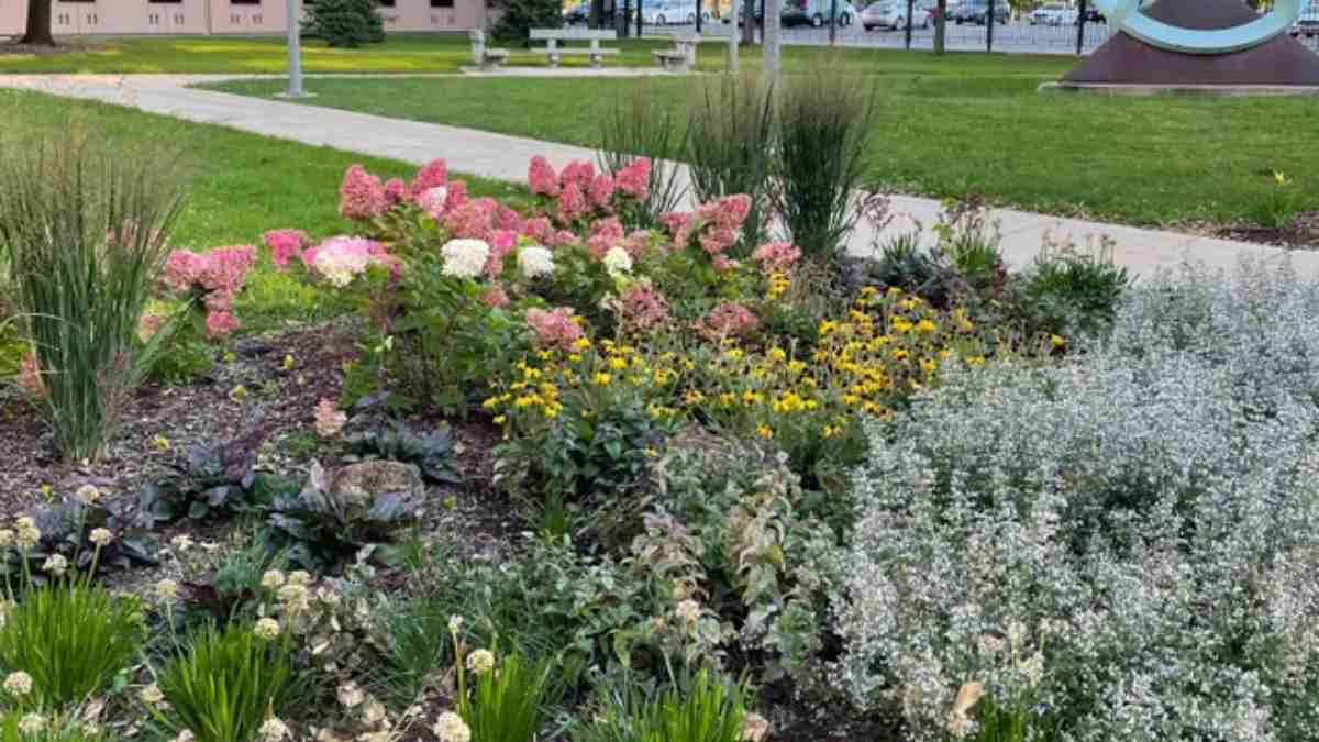 Skriti zajec na fotografiji: Ljudje se prepirajo, kje je