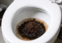 trik-za-čiščenje-stranišča