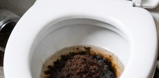 trik-za-čiščenje-stranišča