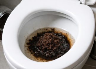 Pametno izkoristi svoj čas