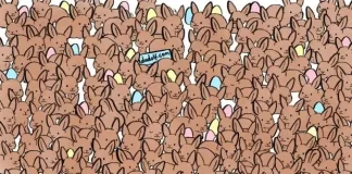 Pametno izkoristi svoj čas