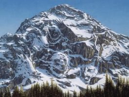 Jagran josh optična iluzija