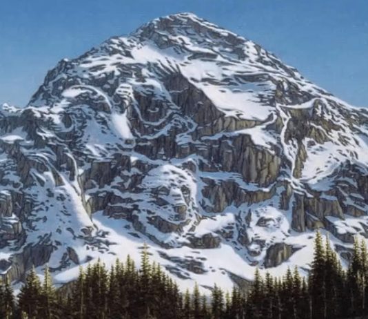 Jagran josh optična iluzija