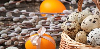 Pametno izkoristi svoj čas