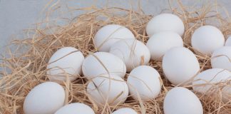 bela-jajca