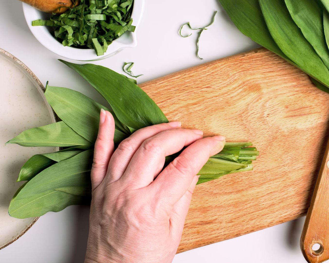 Čemaž, spomladanski zaklad: Kje ga najdemo, kako ga uporabimo, zakaj ga priporočamo?