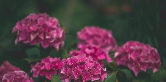 Pametno izkoristi svoj čas