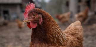 Pametno izkoristi svoj čas