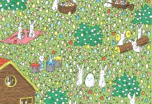 Ali najdete popolnoma belo jajce? Ta velikonočna uganka je zelo zabavna optična-iluzija-uganka-popolnoma-belo-jajce