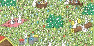 Pametno izkoristi svoj čas