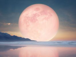polna-luna-april
