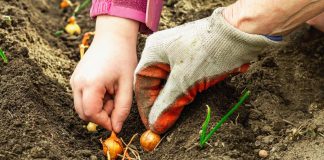 Pametno izkoristi svoj čas