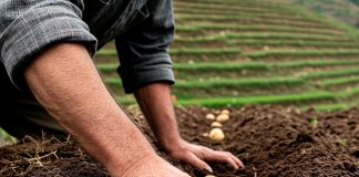 Pametno izkoristi svoj čas