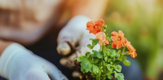 Pametno izkoristi svoj čas