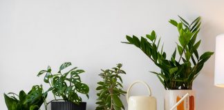 Pametno izkoristi svoj čas