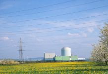 v-okolici-krškega-že-rastejo-gobe