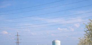 v-okolici-krškega-že-rastejo-gobe