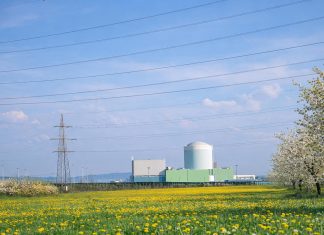 v-okolici-krškega-že-rastejo-gobe