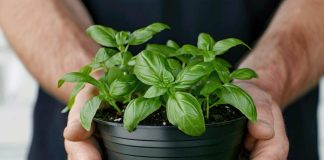 Pametno izkoristi svoj čas