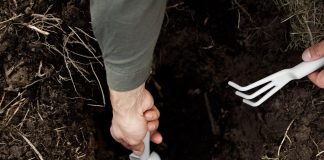 Pametno izkoristi svoj čas