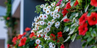 Pametno izkoristi svoj čas