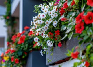 Pametno izkoristi svoj čas