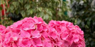 Pametno izkoristi svoj čas