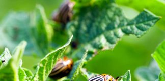 Pametno izkoristi svoj čas