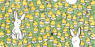 , Pametno izkoristi svoj čas