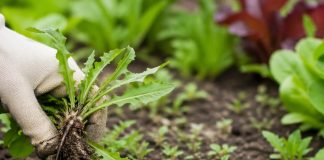 Pametno izkoristi svoj čas