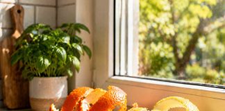 Pametno izkoristi svoj čas