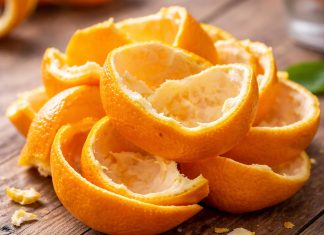 olupki-pomaranč-na-vrtu