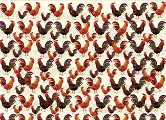 Pametno izkoristi svoj čas