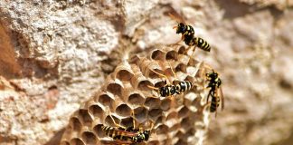 Pametno izkoristi svoj čas