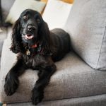 Skriti viri bakterij v domu: 11 stvari, ki jih morate prati pogosteje