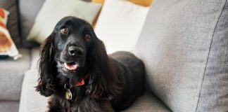 Pametno izkoristi svoj čas