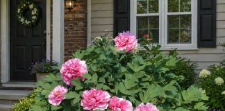 Pametno izkoristi svoj čas