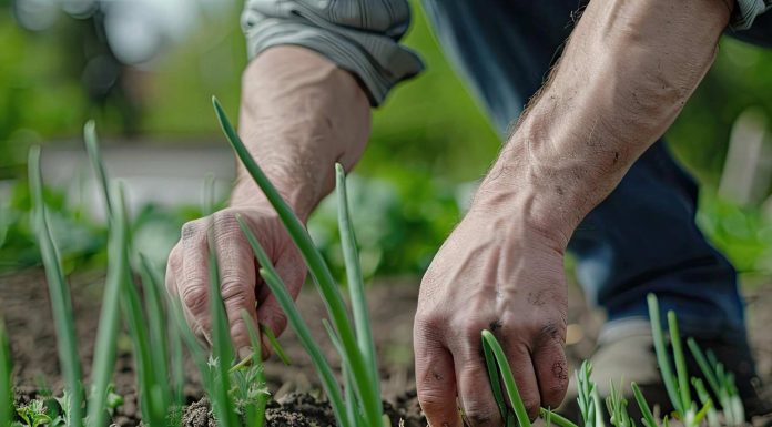 Pametno izkoristi svoj čas