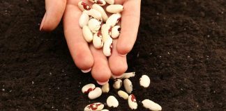 Pametno izkoristi svoj čas