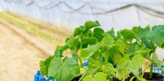 Pametno izkoristi svoj čas