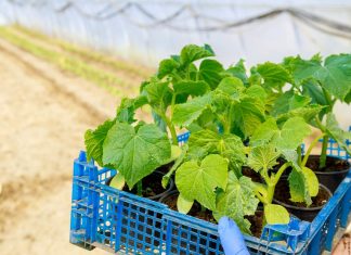 Pametno izkoristi svoj čas