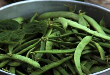 sorte-stročjega-fižola