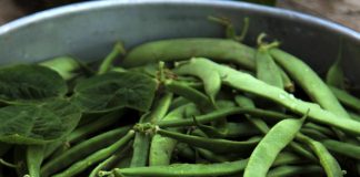 Pametno izkoristi svoj čas