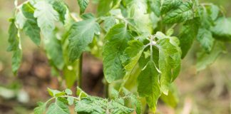 Pametno izkoristi svoj čas