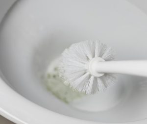 Kako pogosto morate zamenjati straniščno krtačo? Odgovor vas bo presenetil