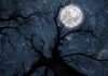 polna-luna-september
