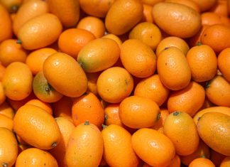 kumkvat